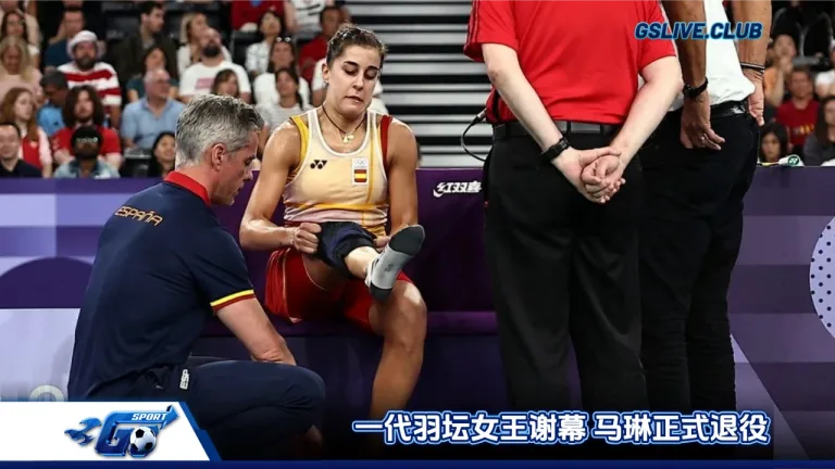 一代羽坛女王谢幕 马琳正式退役